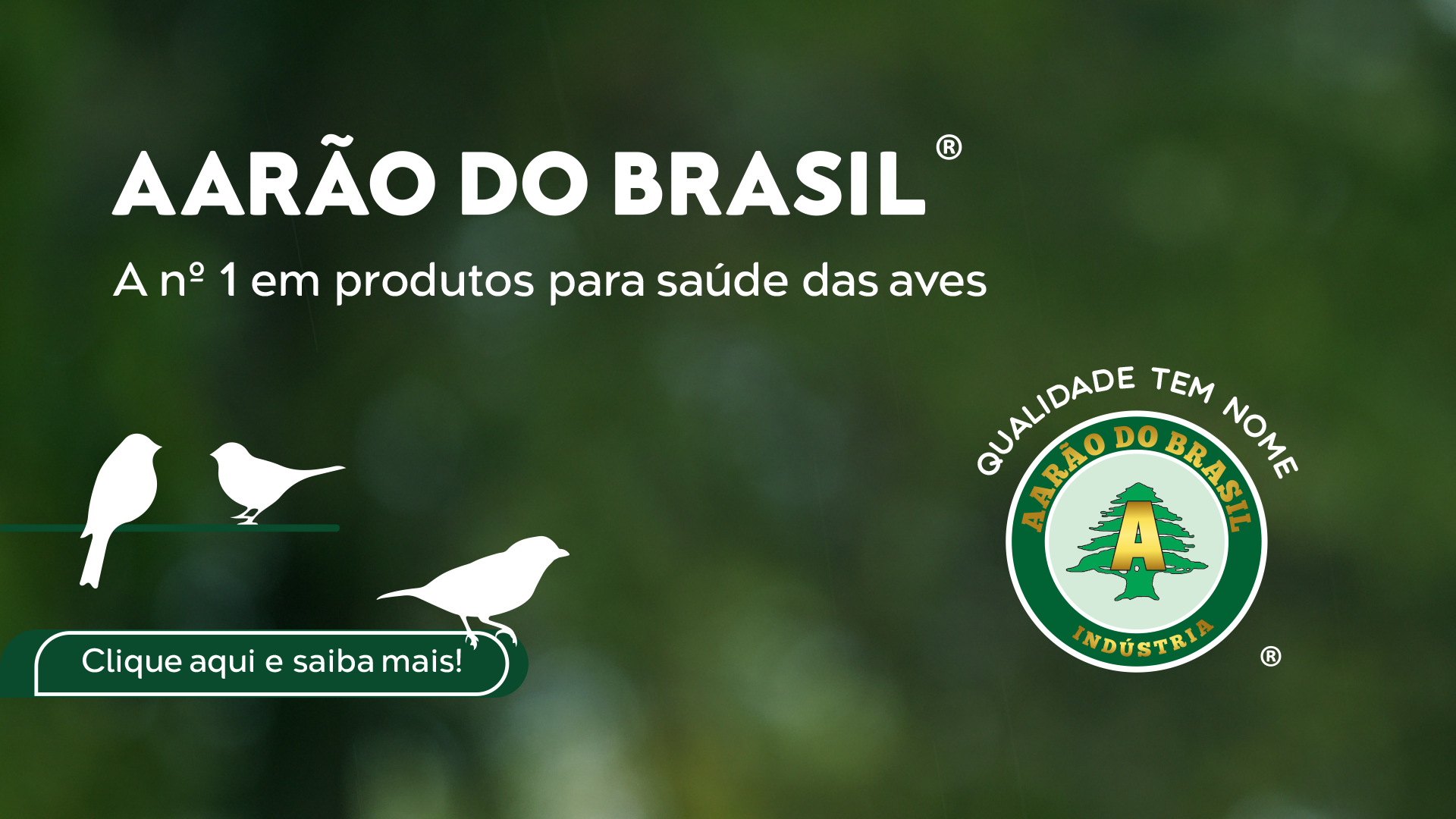 Aarão do Brasil