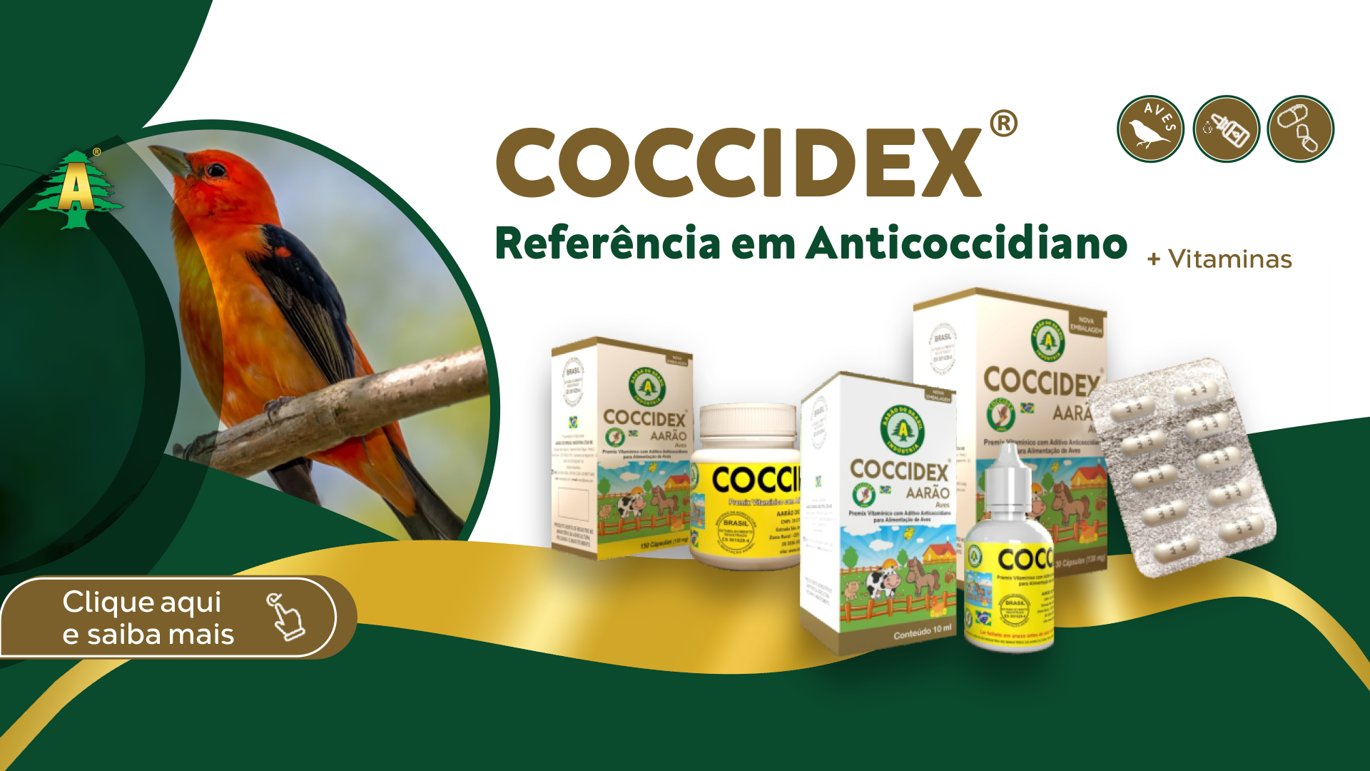 Coccidex