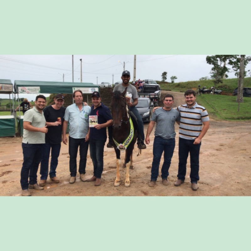 MANGALARGA MARCHADOR EM RIO NOVO DO SUL-ES