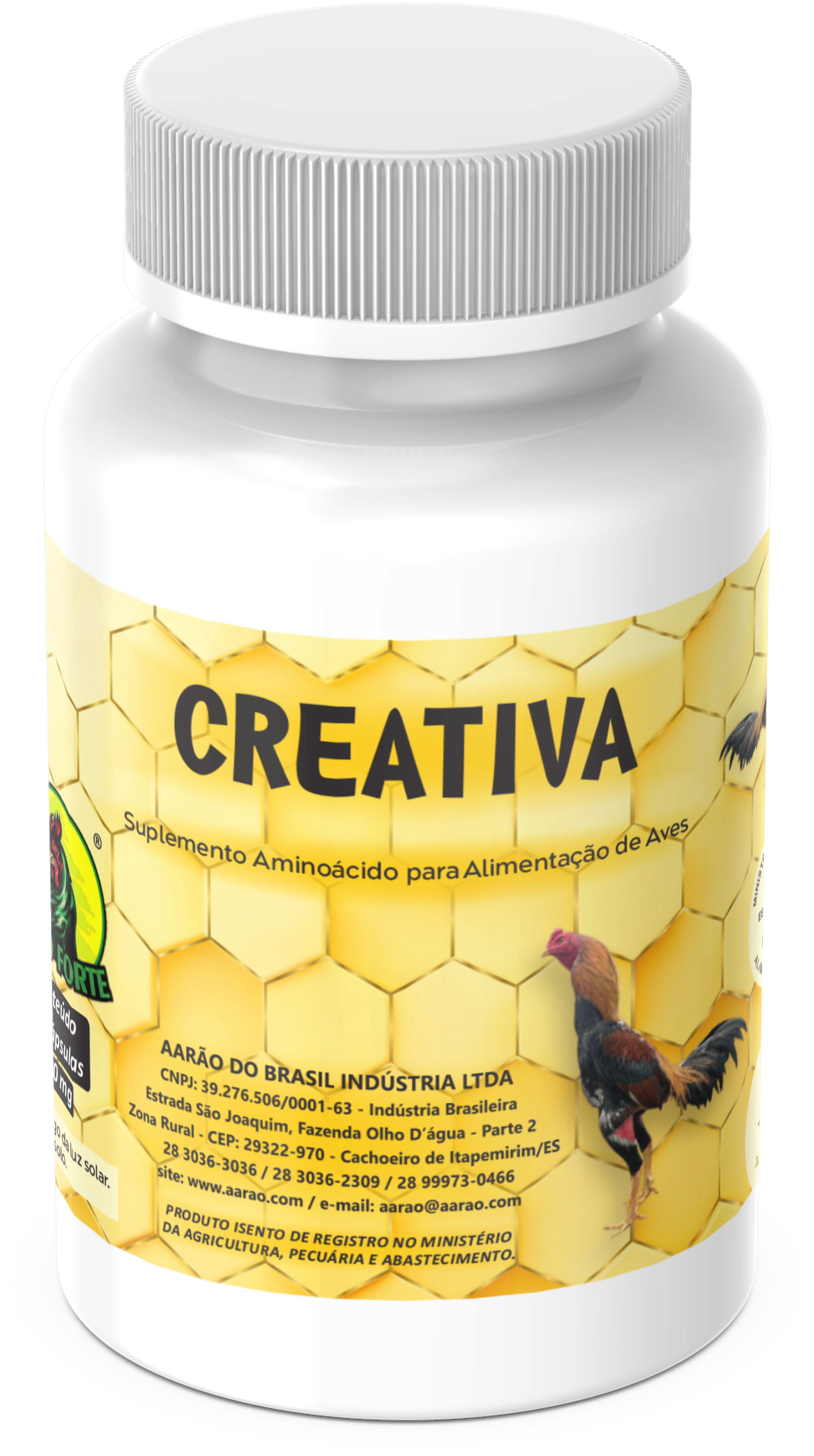 CREATIVA - GALO FORTE 